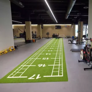 Pavigym custom turf