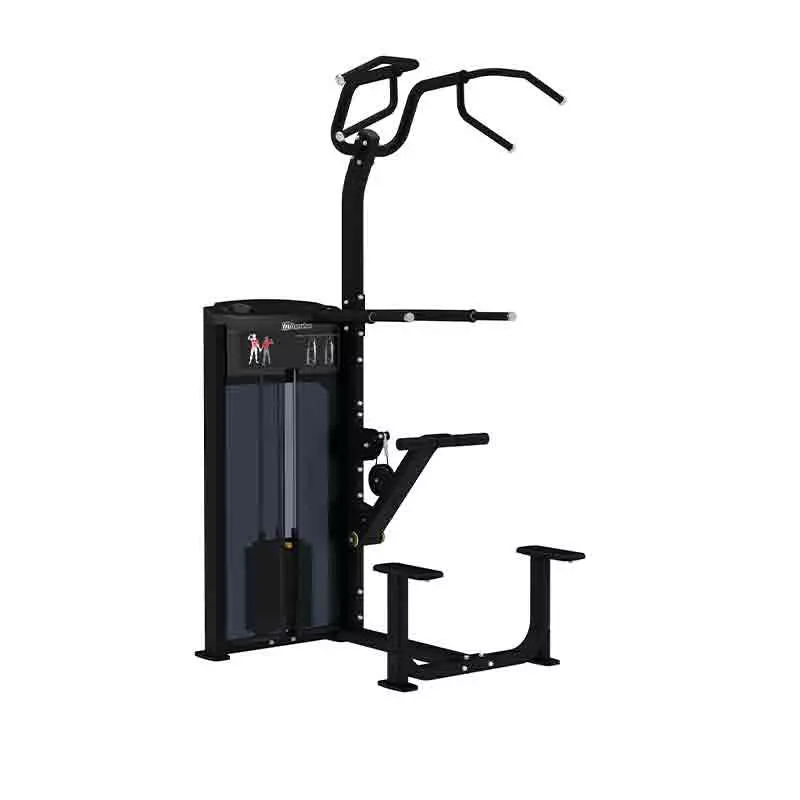 Assisted dip-chin combo if9320 Impulse