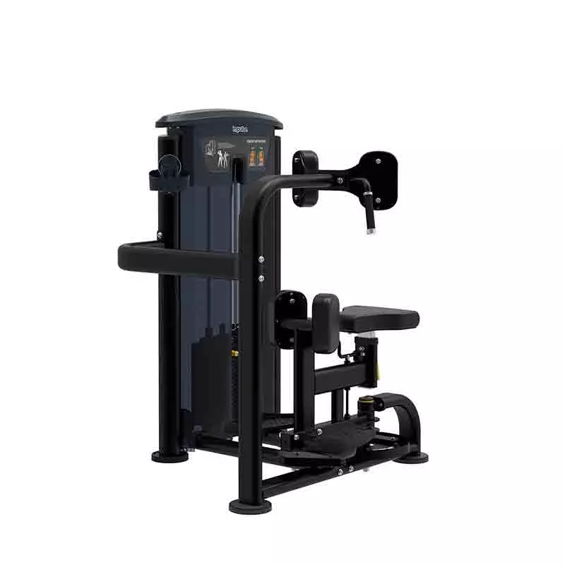 Rotación de torso it9518 Impulse Fitness