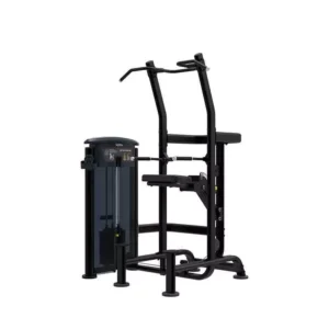 Dip-chin combo it9520 Impulse Fitness