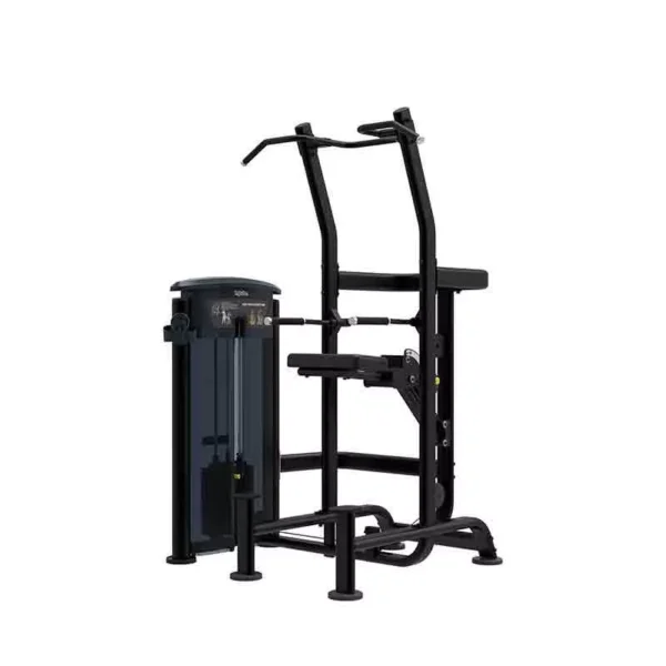 Dip-chin combo it9520 Impulse Fitness