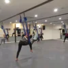 Pavigym motion