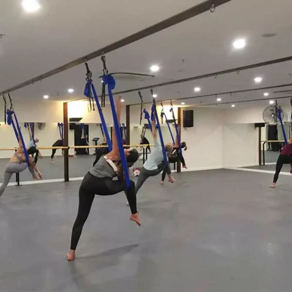 Pavigym motion