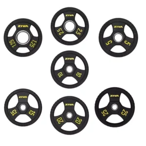 disco Performance Ziva