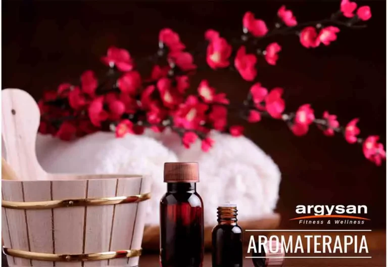 Catálogo de aromaterapia Wellness