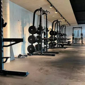 Pavigym endurance black