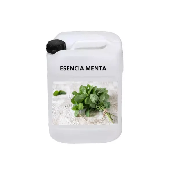 Esencia menta 10l