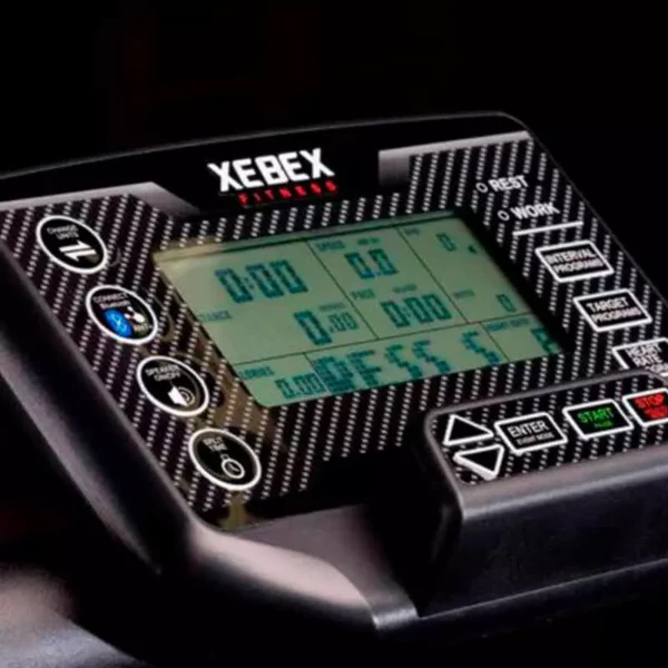 Display cinta curva xebex