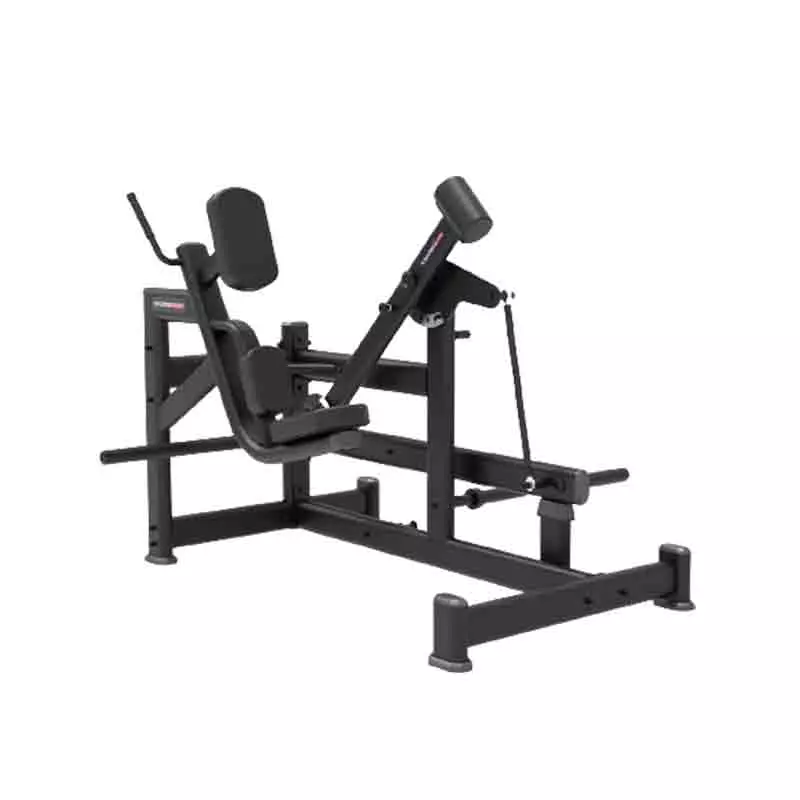 pendulum kickback precor