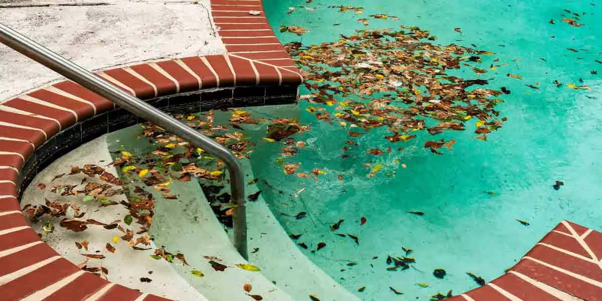 CÓMO TRATAR LA PISCINA DESPUÉS DE UNA TORMENTA 1 piscina con suciedad