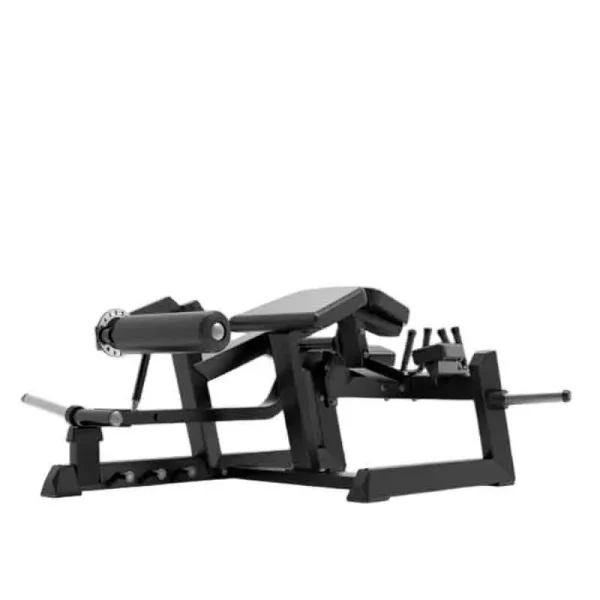 prone leg curl ecp604
