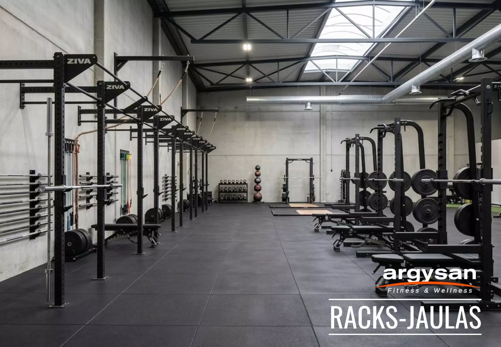Racks y jaulas de entrenamiento - Argysan