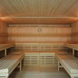 Sauna profesional
