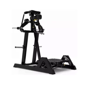 Standing lateral raise ecp103 Impulse FItness