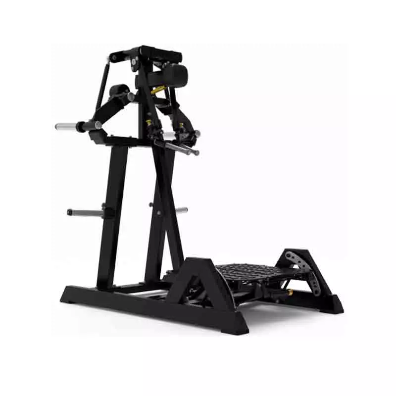 Standing lateral raise ecp103 Impulse FItness