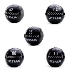 Ziva performance wall ball